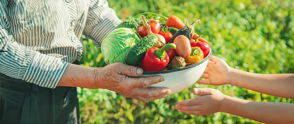 Tarımda Organik Olmak Neden Önemli?