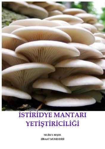 İSTİRİDYE MANTAR YETİŞTİRİCİLİĞİ KİTABI
