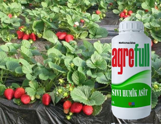 AGREFULL SIVI HUMİK ASİT 1 LT